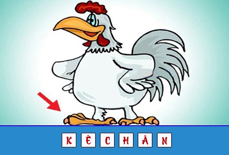 đuổi hình bắt chữ - Ảnh 2.