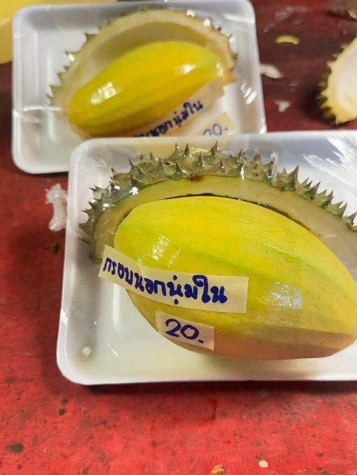 sầu riêng - Ảnh 1.