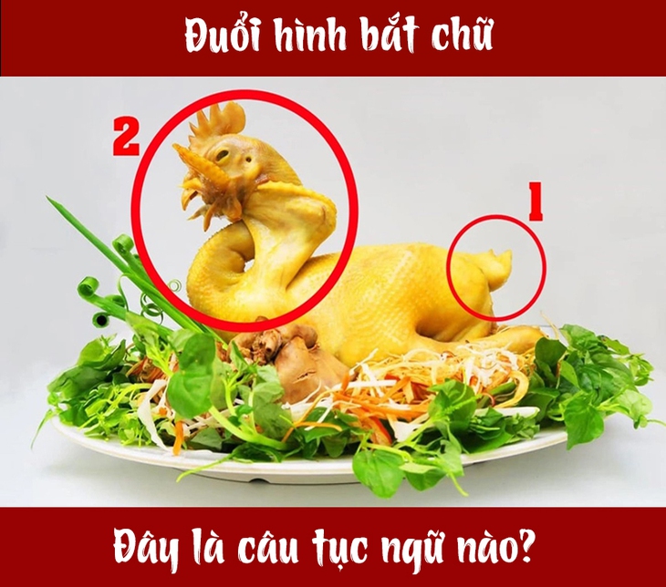 tục ngữ - Ảnh 1.