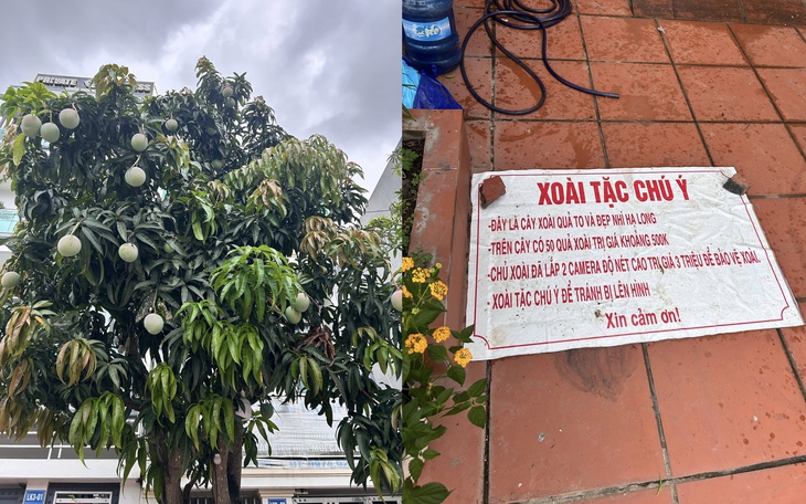 Gia Đình Hải Sen bị bắt, trước đó làm gì nổi tiếng vậy? - Ảnh 5.