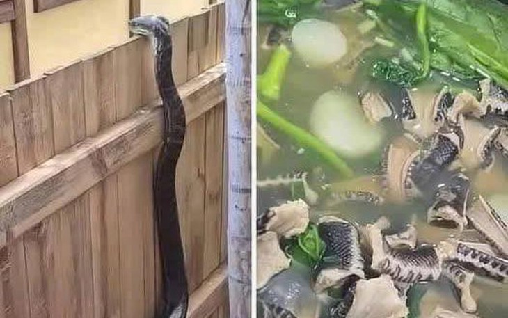 Cười xỉu với phim 'mẹ sinh 99 con': phiên bản Douyin của nàng Âu Cơ? - Ảnh 3.