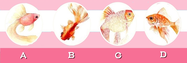 Vận may - Ảnh 1.