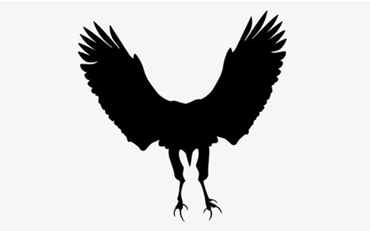 Quiz: Chỉ số hạnh phúc của 'người ấy' khi bên bạn là bao nhiêu? - Ảnh 4.