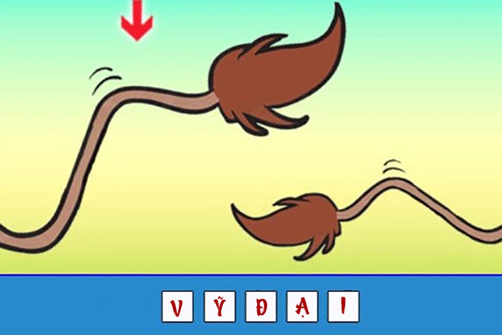 đuổi hình bắt chữ - Ảnh 4.