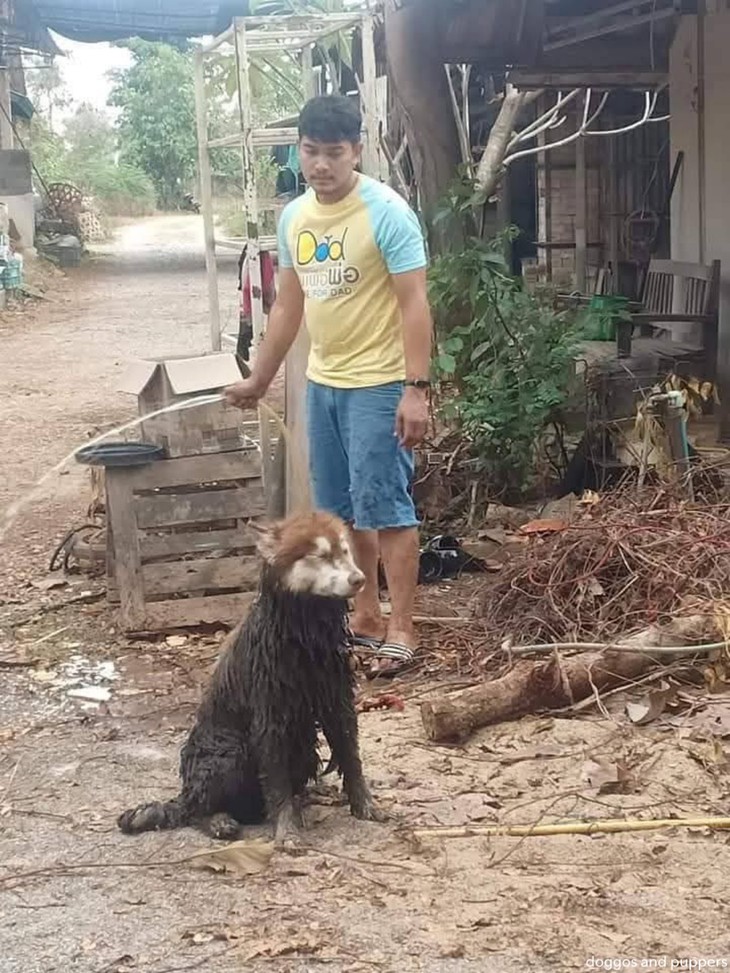 máy lạnh - Ảnh 3.