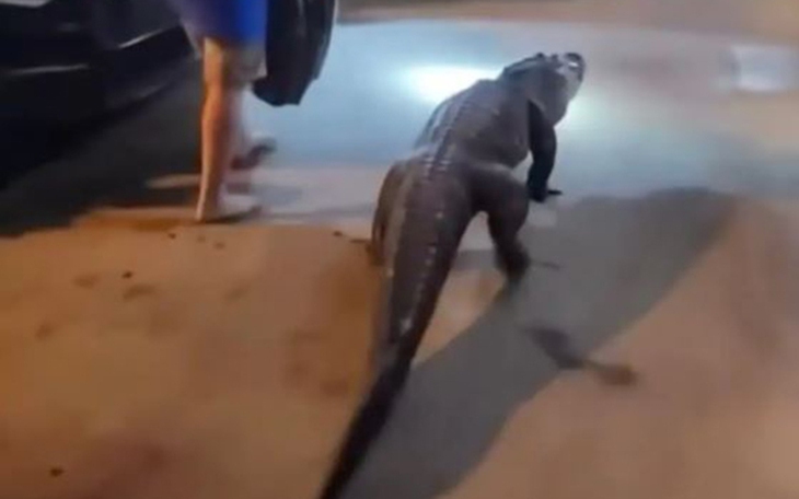 Trông con cho vợ nghỉ, người đàn ông bất ngờ trúng số 130 tỷ đồng - Ảnh 3.