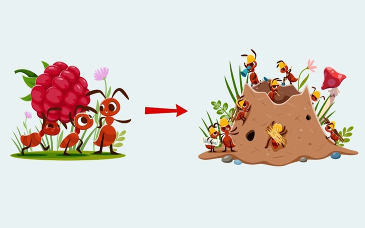 Câu tục ngữ quen thuộc này là gì? (P27) - Ảnh 3.