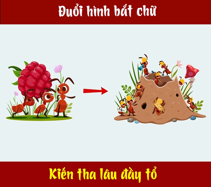 tục ngữ - Ảnh 2.