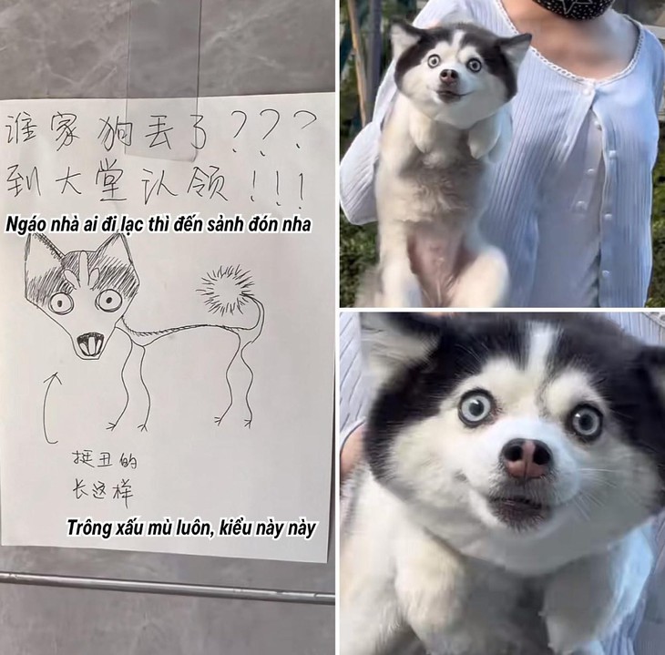 nước tương - Ảnh 6.