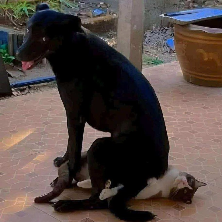 nước tương - Ảnh 4.