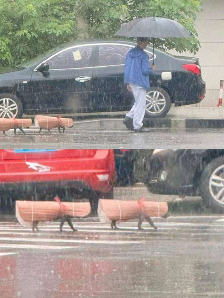 nước tương - Ảnh 3.