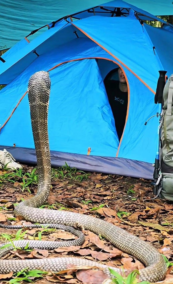 nghỉ hè - Ảnh 6.