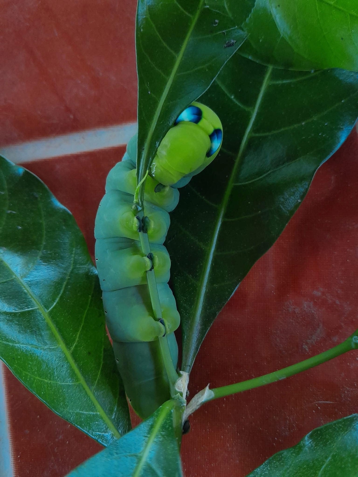 nghỉ hè - Ảnh 4.