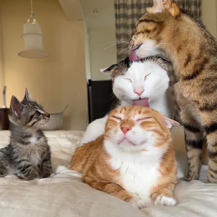 nghỉ hè - Ảnh 3.