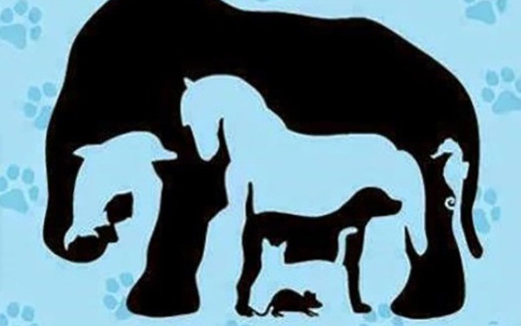 Mắt 10/10 mới thấy con mèo trong 5 giây - Ảnh 9.