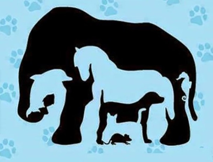 Thử tài tinh mắt - Ảnh 1.