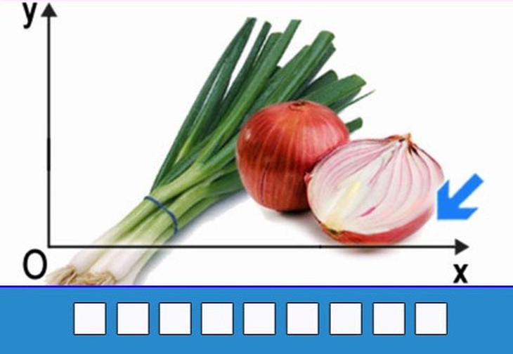 đuổi hình bắt chữ - Ảnh 3.