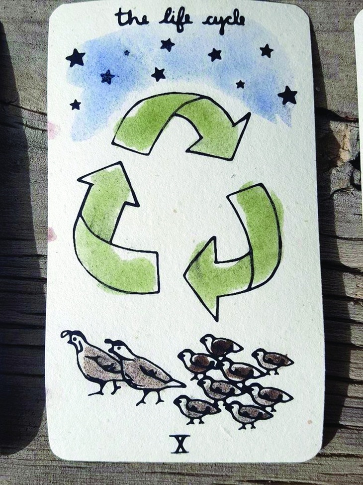 Coi tarot - Ảnh 2.