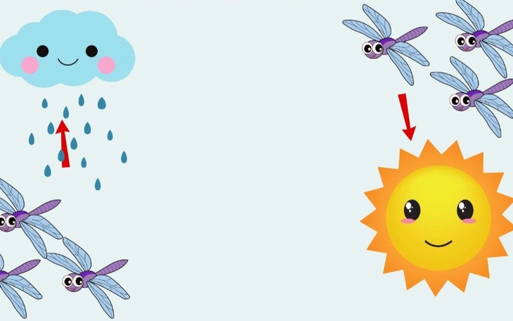 Câu tục ngữ quen thuộc này là gì? (P28) - Ảnh 4.