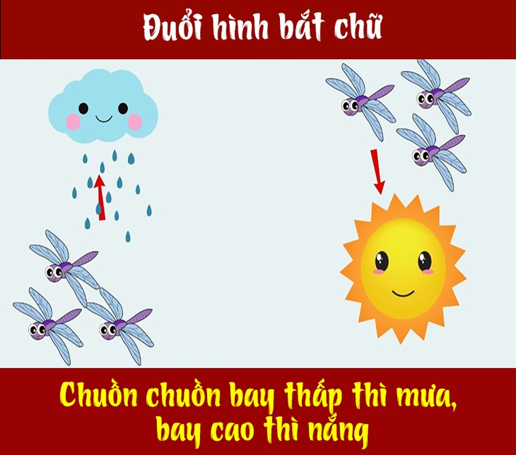 tục ngữ - Ảnh 2.