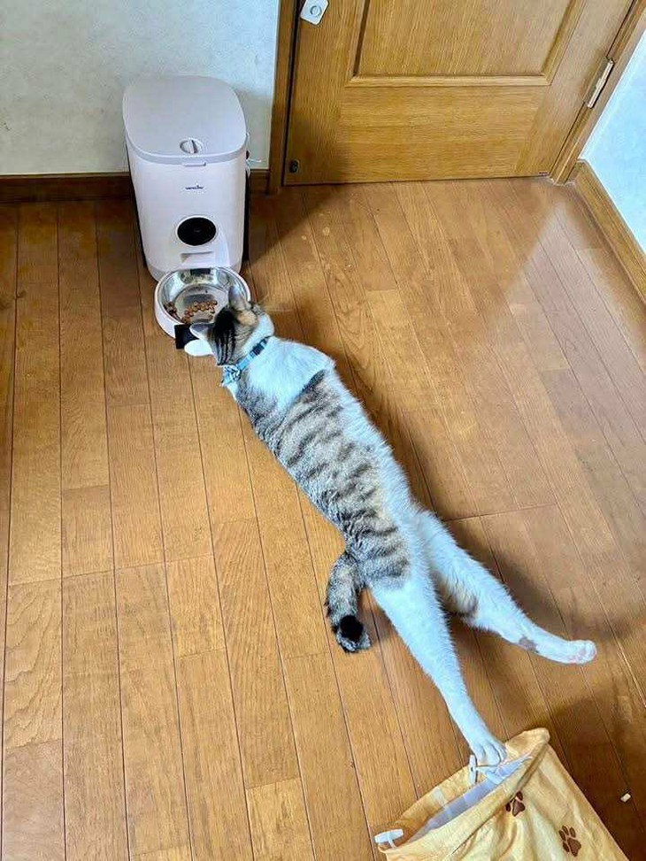 bán hàng - Ảnh 3.