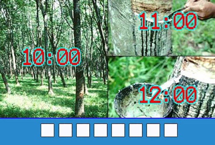 đuổi hình bắt chữ - Ảnh 3.