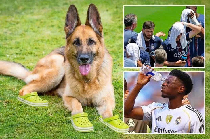 FIFA Club World Cup - Ảnh 1.