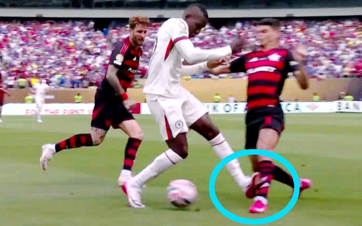 Câu chuyện fan Palmeiras tự hào gọi nhau là… ‘lũ heo’ - Ảnh 6.