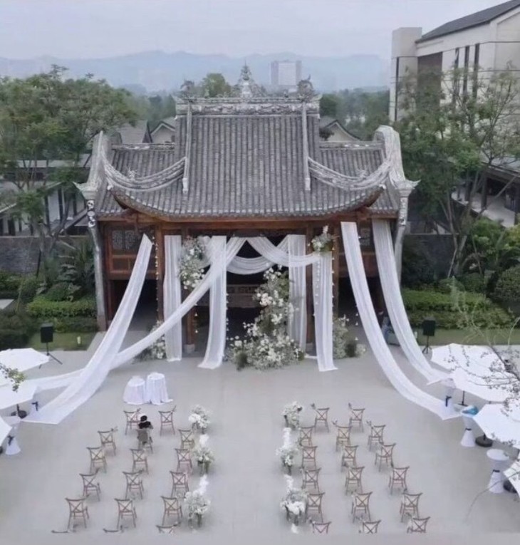 thằn lằn - Ảnh 3.