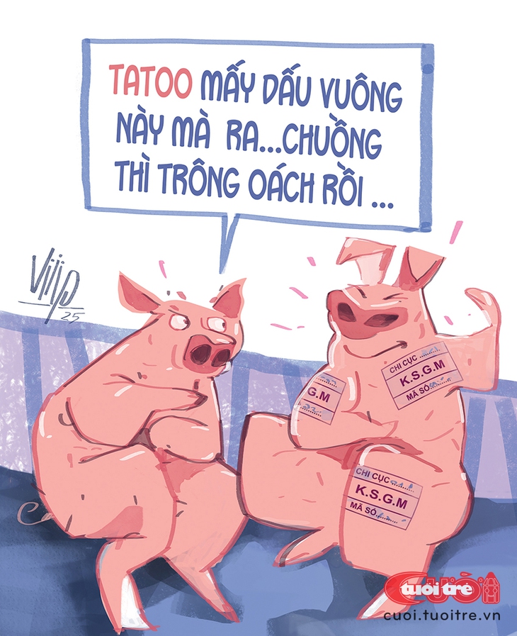 Chú heo xăm trổ gì khiến bạn cùng chuồng ngưỡng mộ? - Ảnh 1.