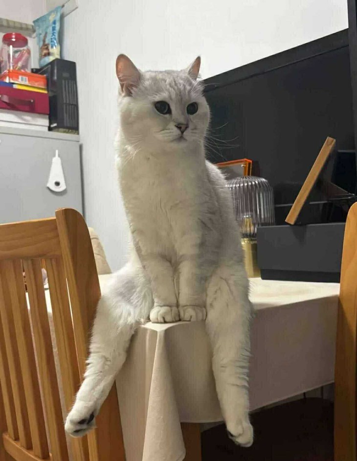 chuyện tình - Ảnh 3.