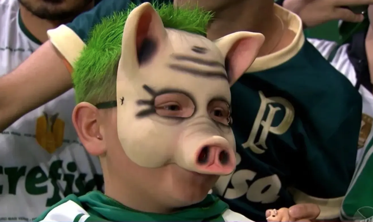 Palmeiras - Ảnh 2.