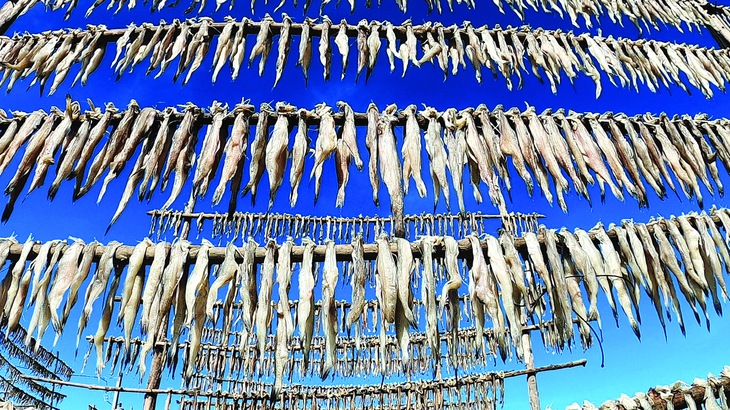 Cá khoai - Ảnh 1.