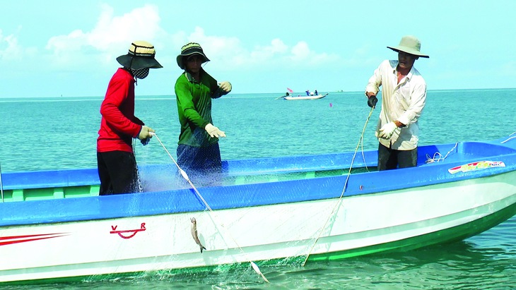 cá khoai - Ảnh 1.