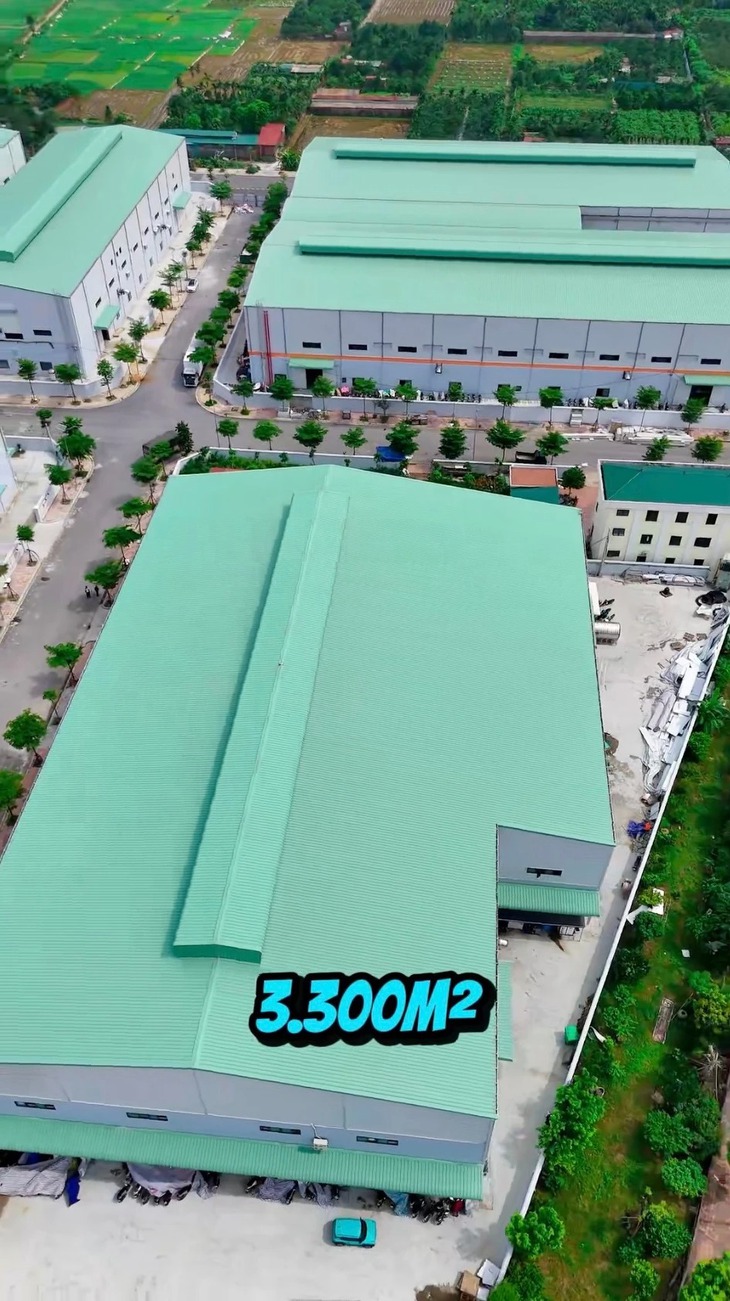 Ăn Cùng Bà Tuyết - Ảnh 2.