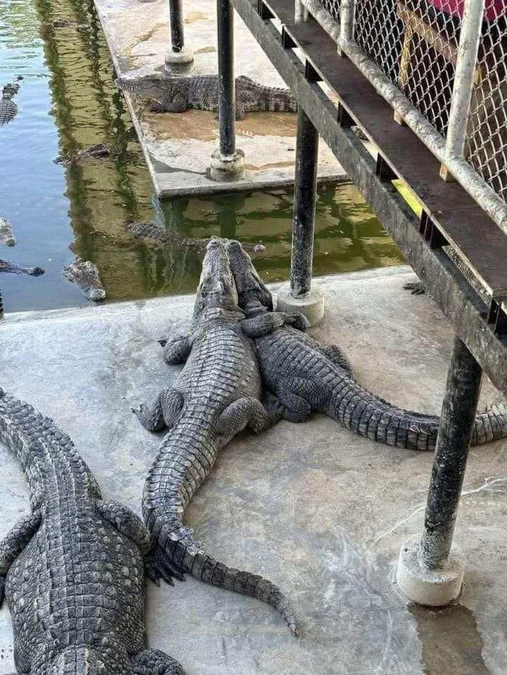 phong thủy - Ảnh 6.