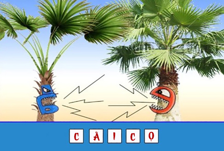 đuổi hình bắt chữ - Ảnh 4.