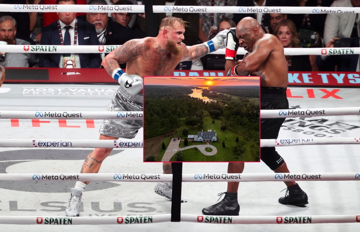 Jake Paul - Ảnh 1.