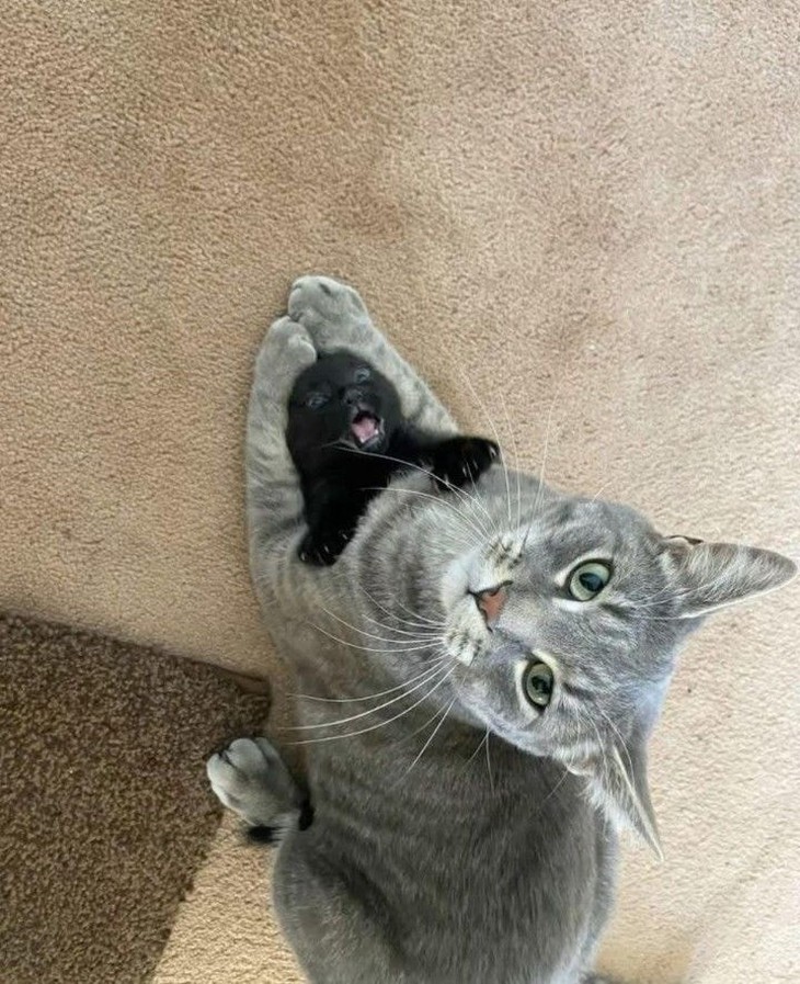 thi tốt nghiệp - Ảnh 2.