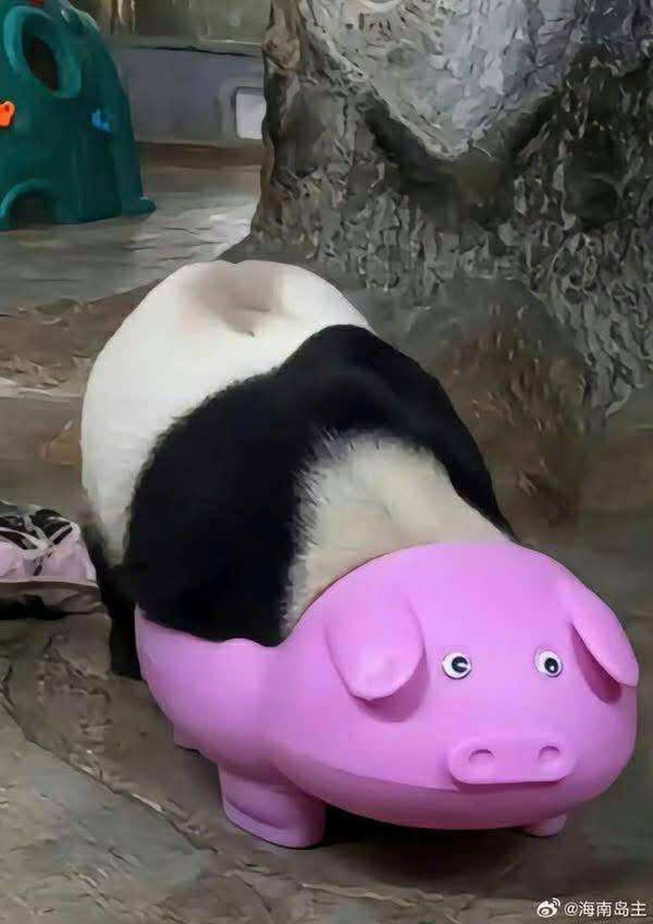 Taylor Swift - Ảnh 4.