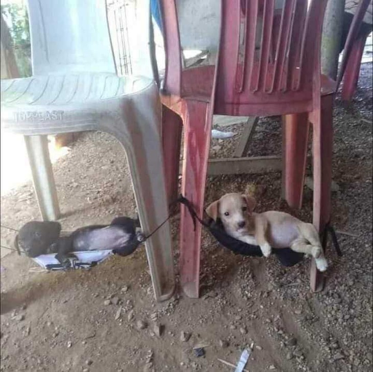 Taylor Swift - Ảnh 6.