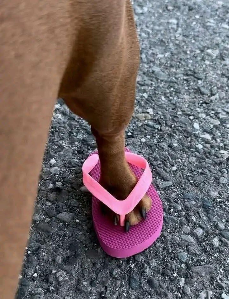 Taylor Swift - Ảnh 2.