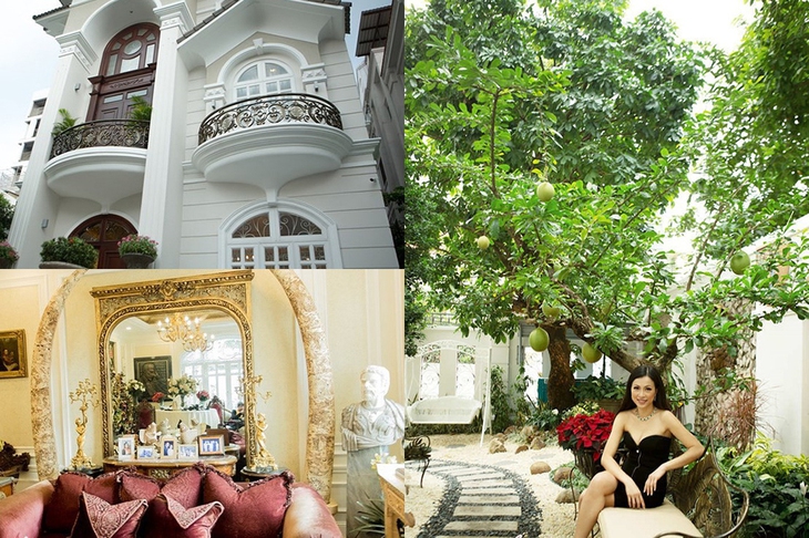 Đàm Vĩnh Hưng - Ảnh 3.