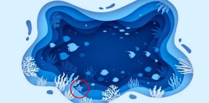 thử tài tinh mắt - Ảnh 2.