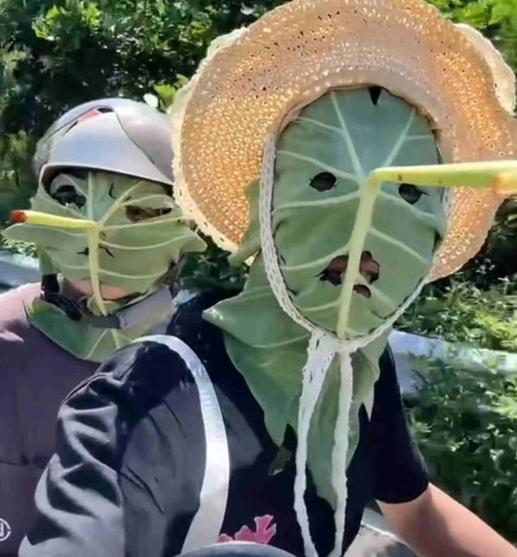 Trào lưu làm khẩu trang từ lá sen: Sáng tạo hay mối nguy tiềm ẩn? - Ảnh 3.