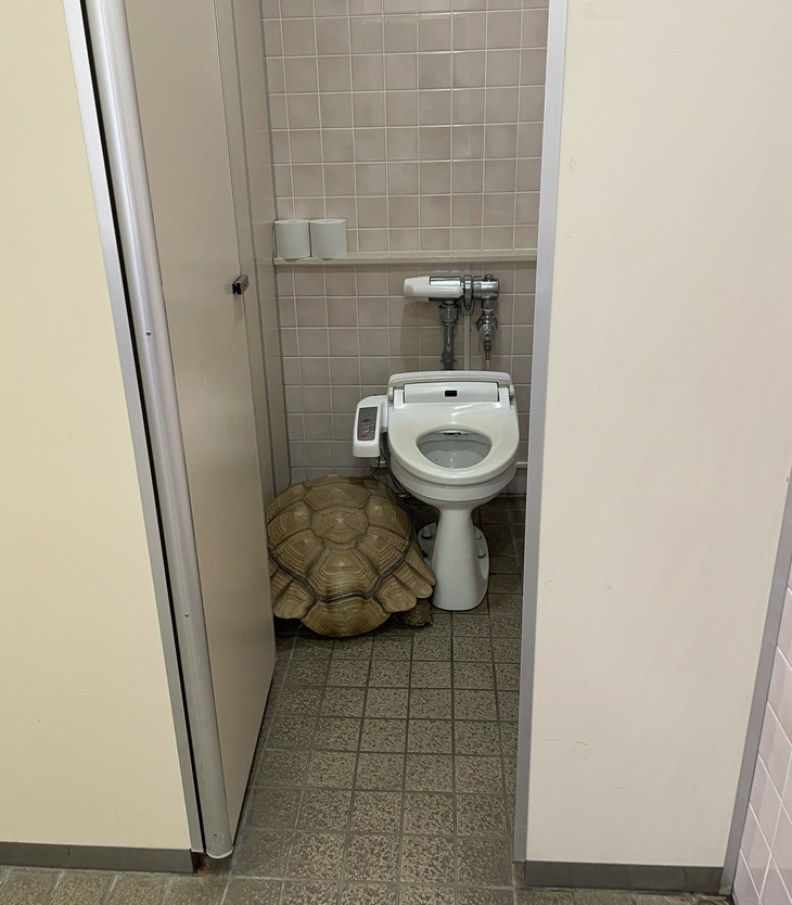 17 bẻ gãy sừng trâu - Ảnh 3.