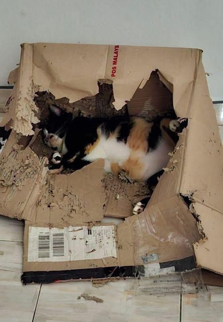 chủ quán - Ảnh 4.