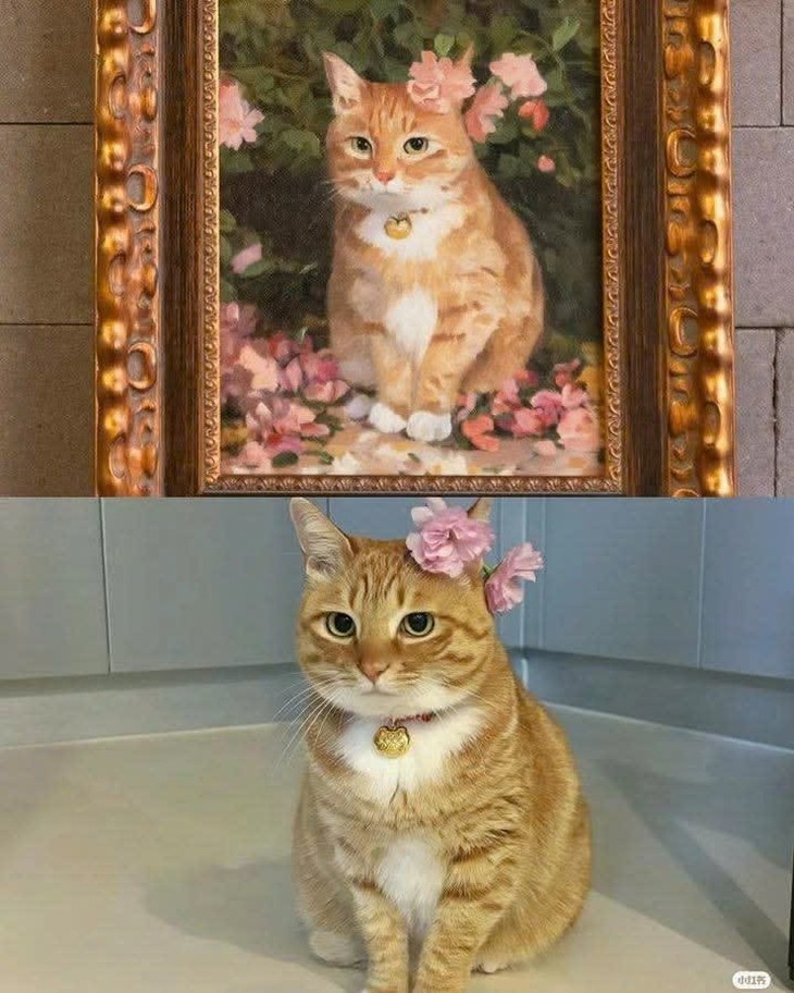 chủ quán - Ảnh 3.