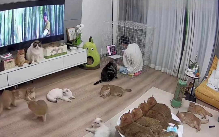 Năm số 9: sống sai là... 'ra chuồng gà'? - Ảnh 3.