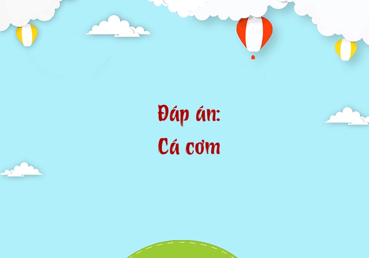 tiếng Việt - Ảnh 4.